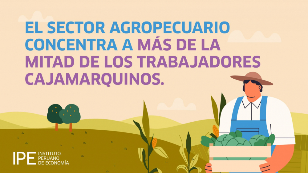 Producción agropecuaria en Cajamarca se recuperó en 2021