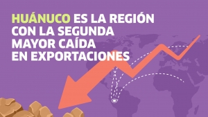 Huánuco: la segunda región que más redujo sus exportaciones en 2020