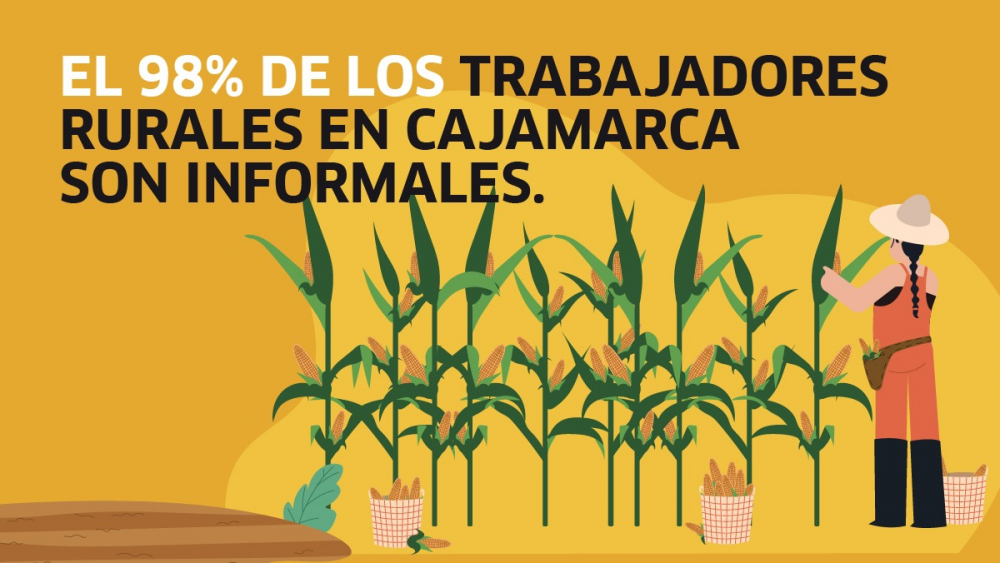 Informalidad laboral en Cajamarca alcanzó el 91% en 2020