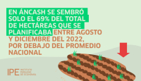 Áncash: siembra de cultivos en 2022 fue 6.5% menos que en 2021